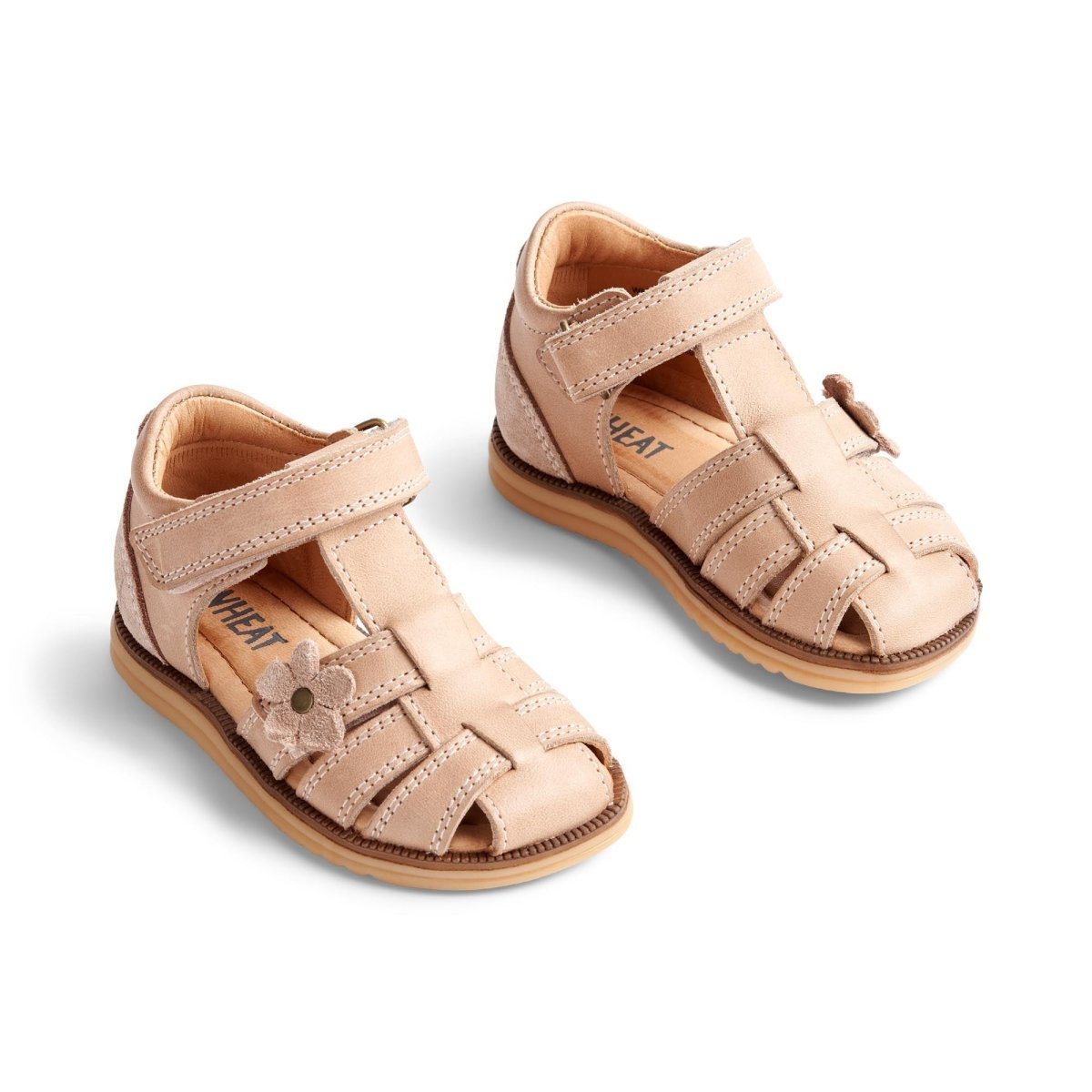 Wheat | Sandal Sky Flower | Beige Rose - Eli & Friends